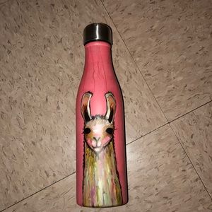 Insulated water bottle